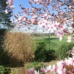 호텔 Haus Nachtigall - Uedem