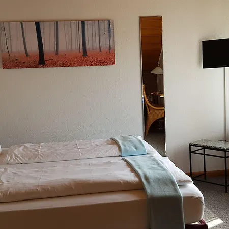 Haus Nachtigall - מלון 3*