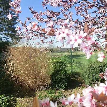 מלון Haus Nachtigall - Uedem