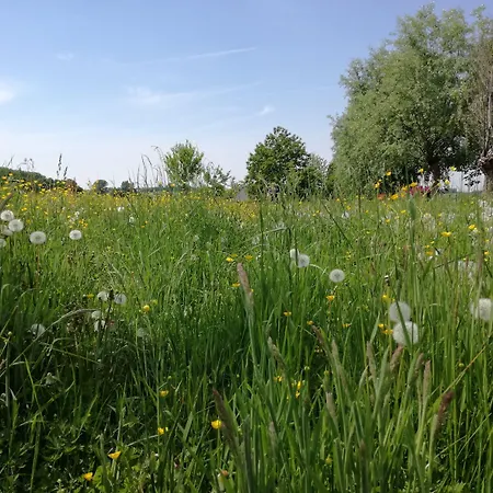 מלון Haus Nachtigall - 3*