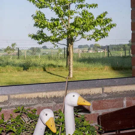 מלון Haus Nachtigall - 3*