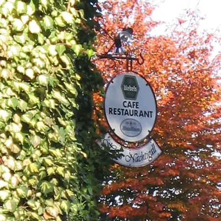 فندق Haus Nachtigall - 3*