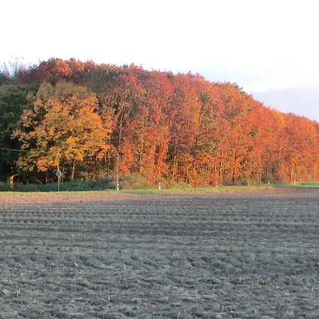 מלון Haus Nachtigall - 3*