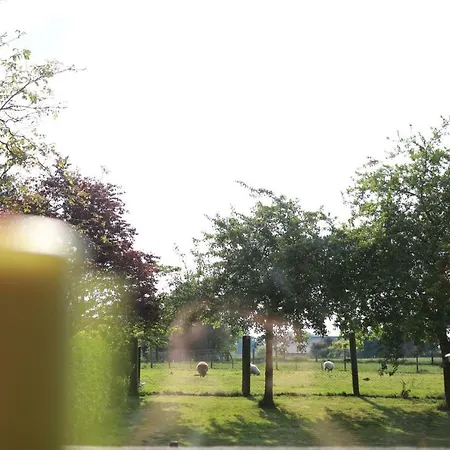 Hotel Haus Nachtigall - 3*