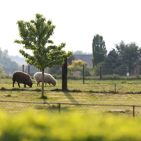 Haus Nachtigall - מלון 3*