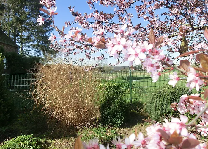 Szálloda Haus Nachtigall - Uedem