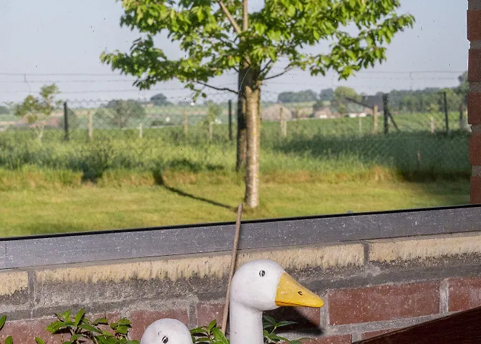 Hotel Haus Nachtigall - 3*