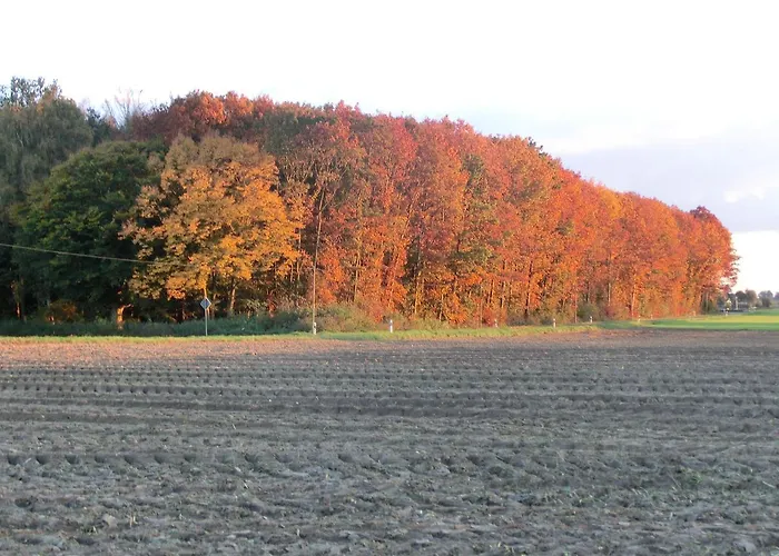 Szálloda Haus Nachtigall - 3*