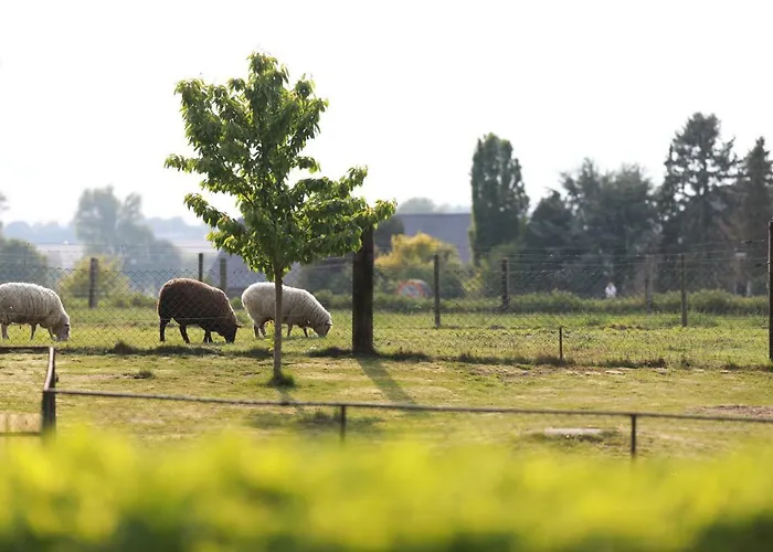 Haus Nachtigall - Szálloda 3*